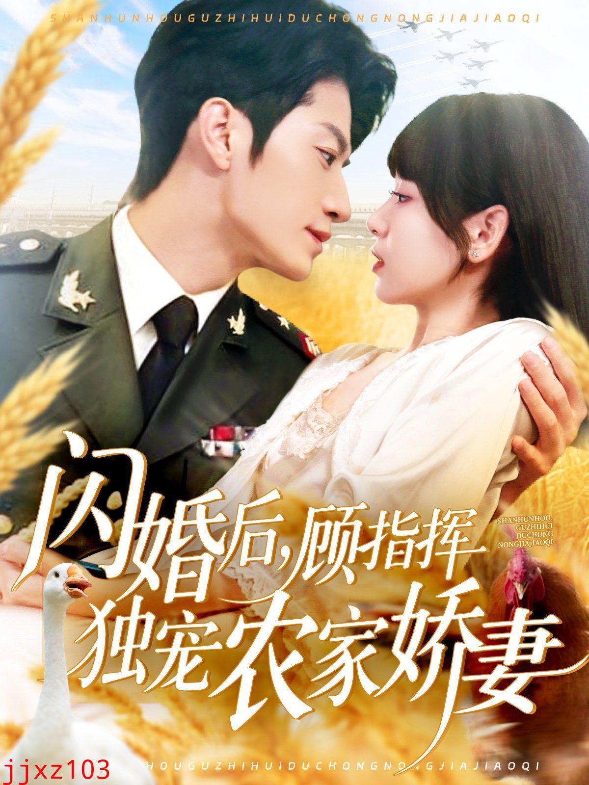 闪婚后顾指挥独宠农家娇妻